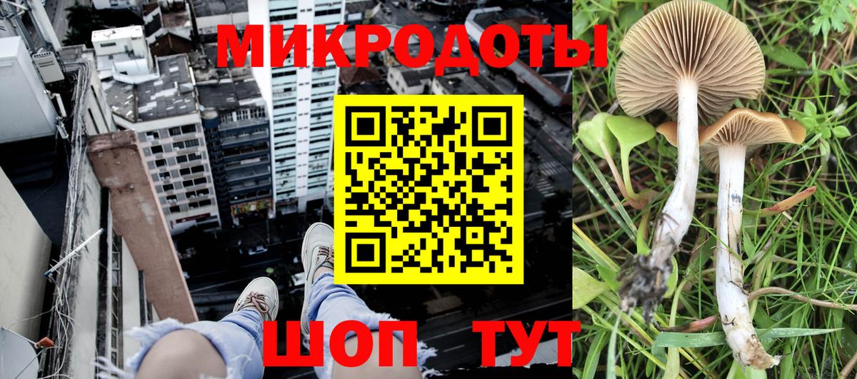 Псилоцибиновые грибы Magic Shrooms Рязань