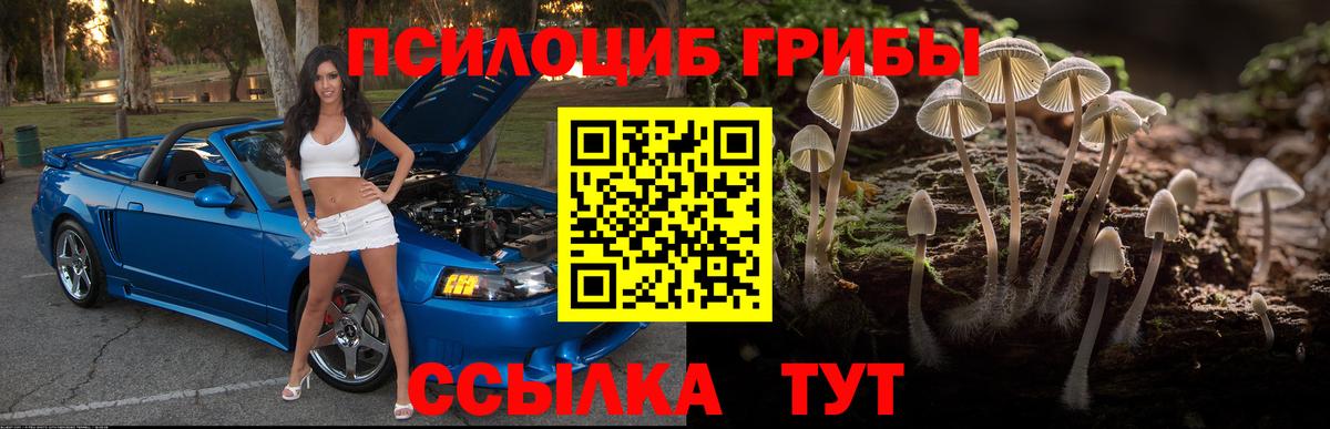 Галлюциногенные грибы мухоморы  наркошоп  Рязань  Вход с VPN 